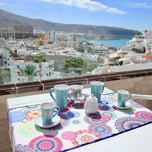 https://sun-view-holiday-home.in-canary-islands.com